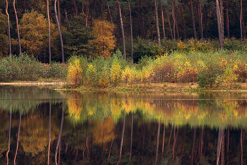 Herbst am Haubachsee