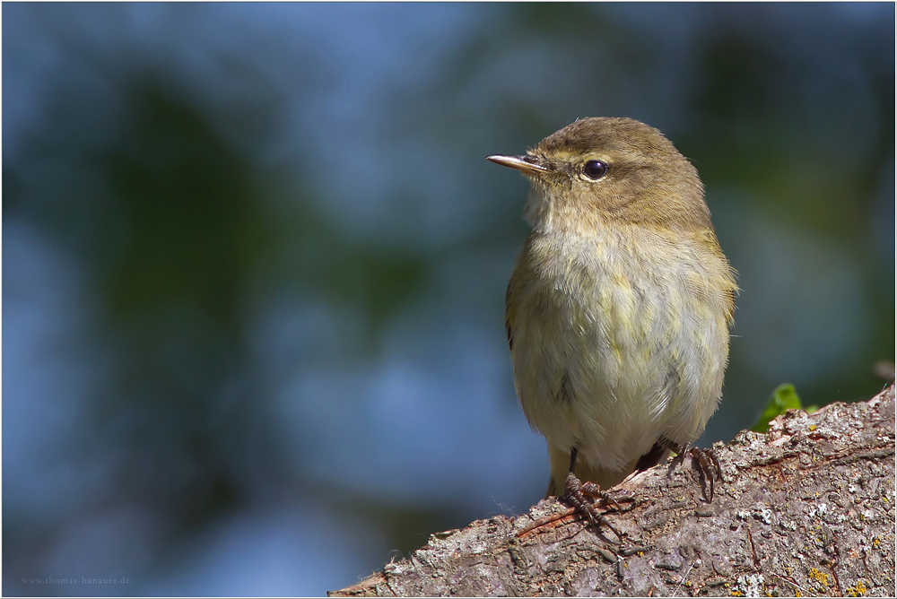Ganz schön selbstbewusst