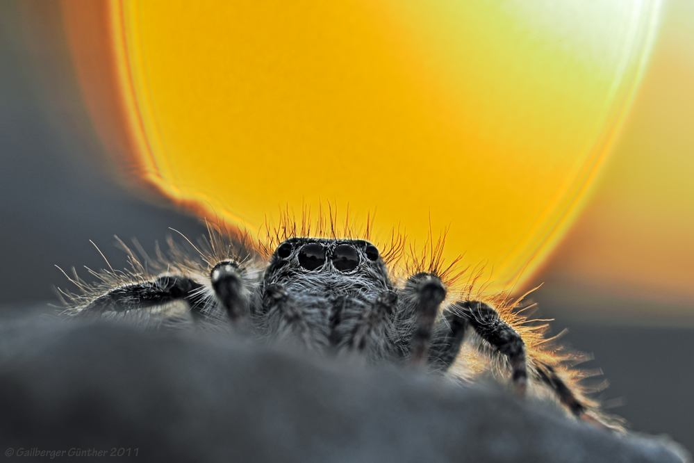 ~ ein Licht geht auf ~