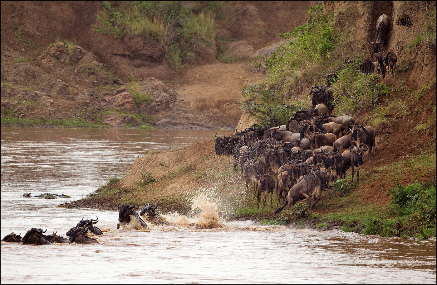 Mara River Crossing 1