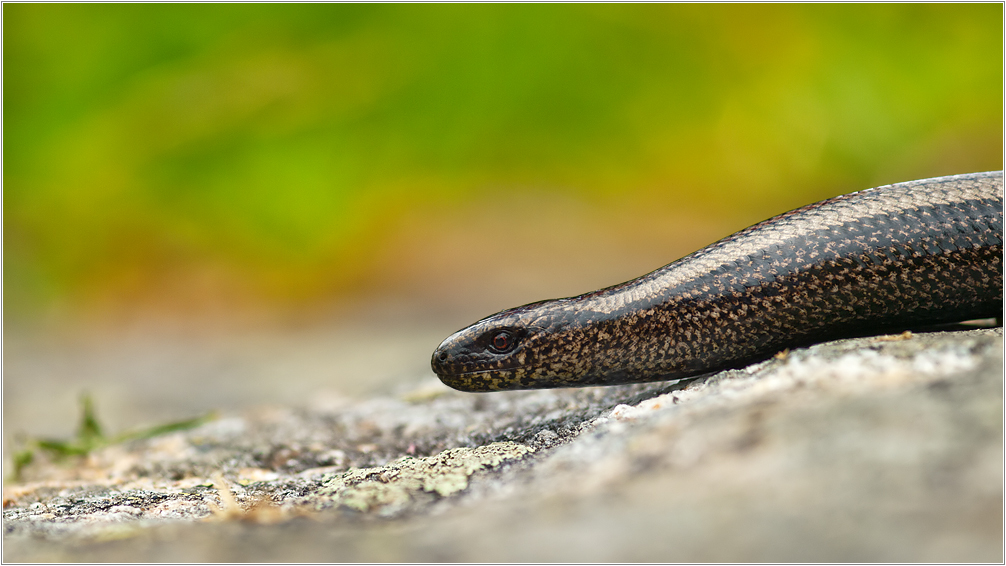 Es war einmal im Sommer ........