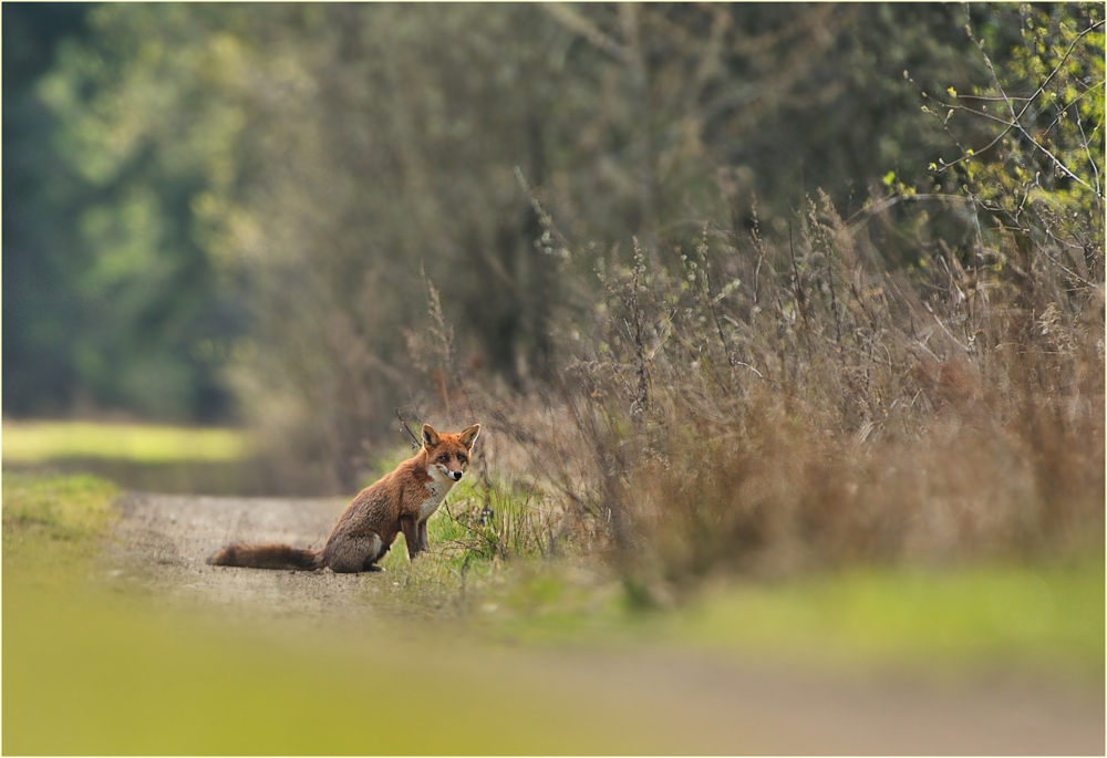 Am Anfang unserer Bekanntschaft ....