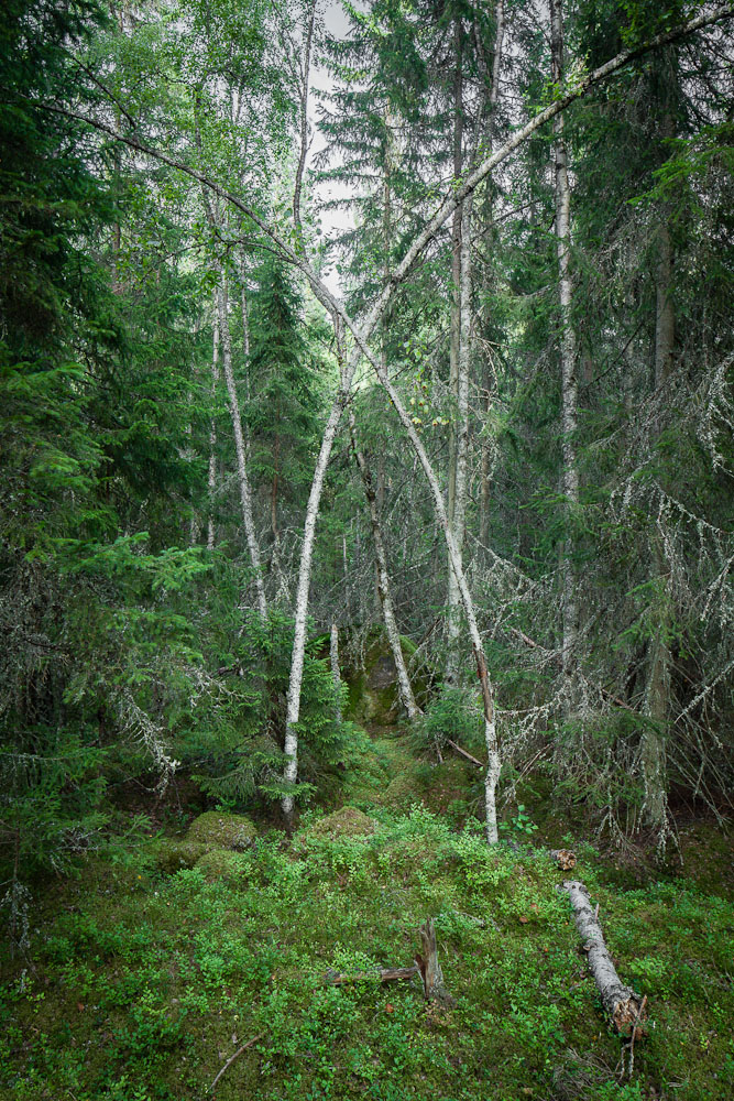 wie ein Eingangstor in die Kathedrale...