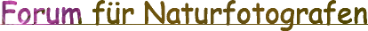 Forum für Naturfotografen - Homepage