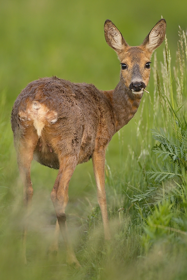 "...unter vier Augen..."