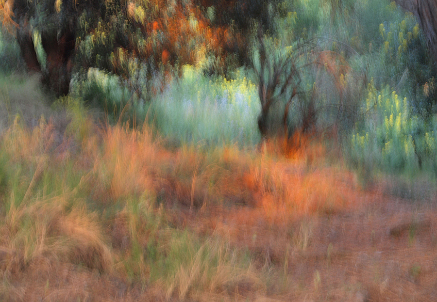 Abendliches Farbenspiel... (Wischer)