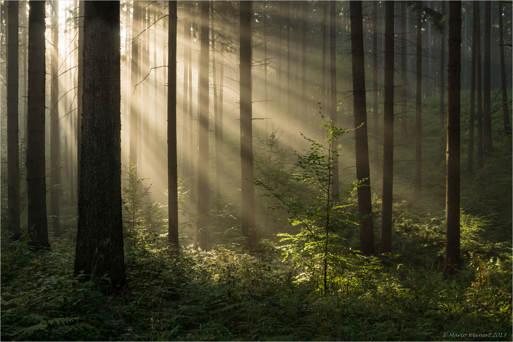 Spätsommer im Meebachsgrund