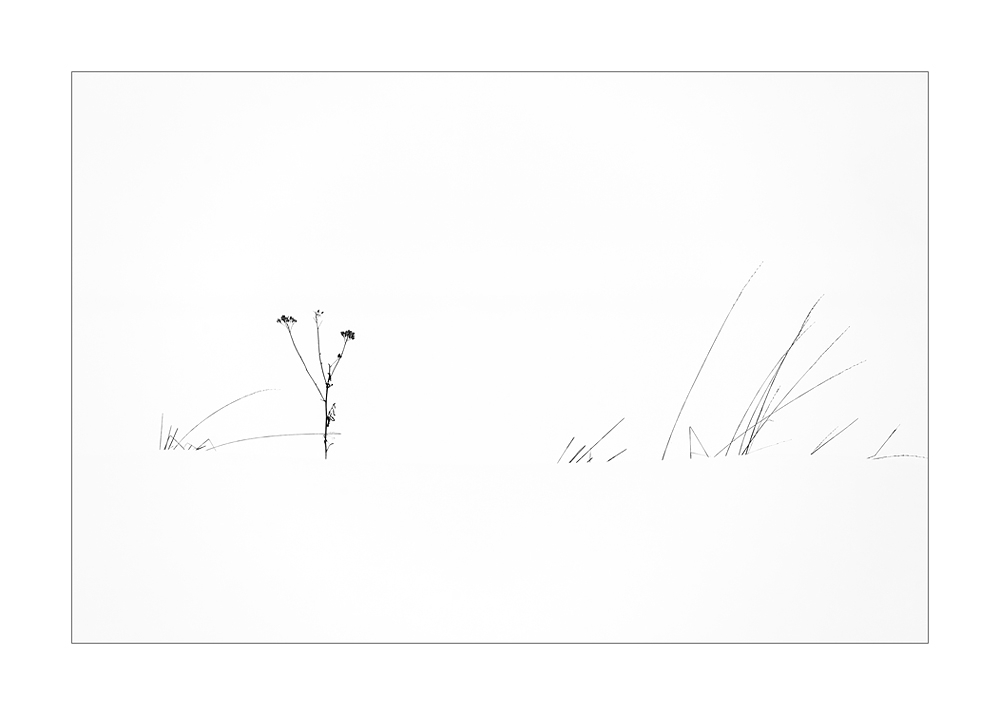 Im Schnee vom letzten Jahr