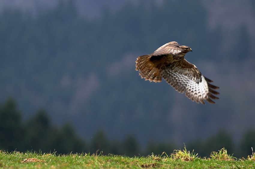 Nichts wie weg ...     ND