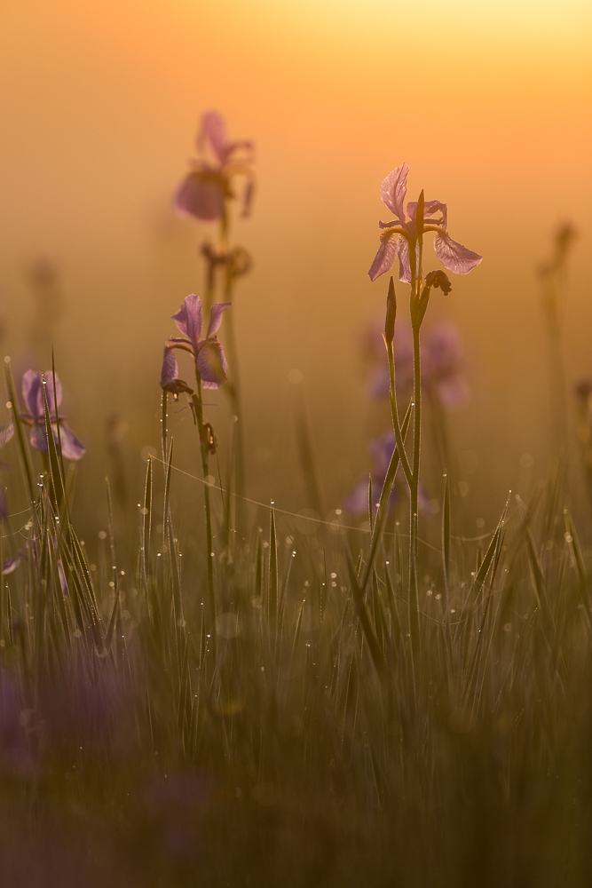 Ein neuer Tag beginnt