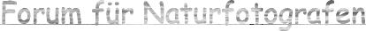 Forum für Naturfotografen - Homepage