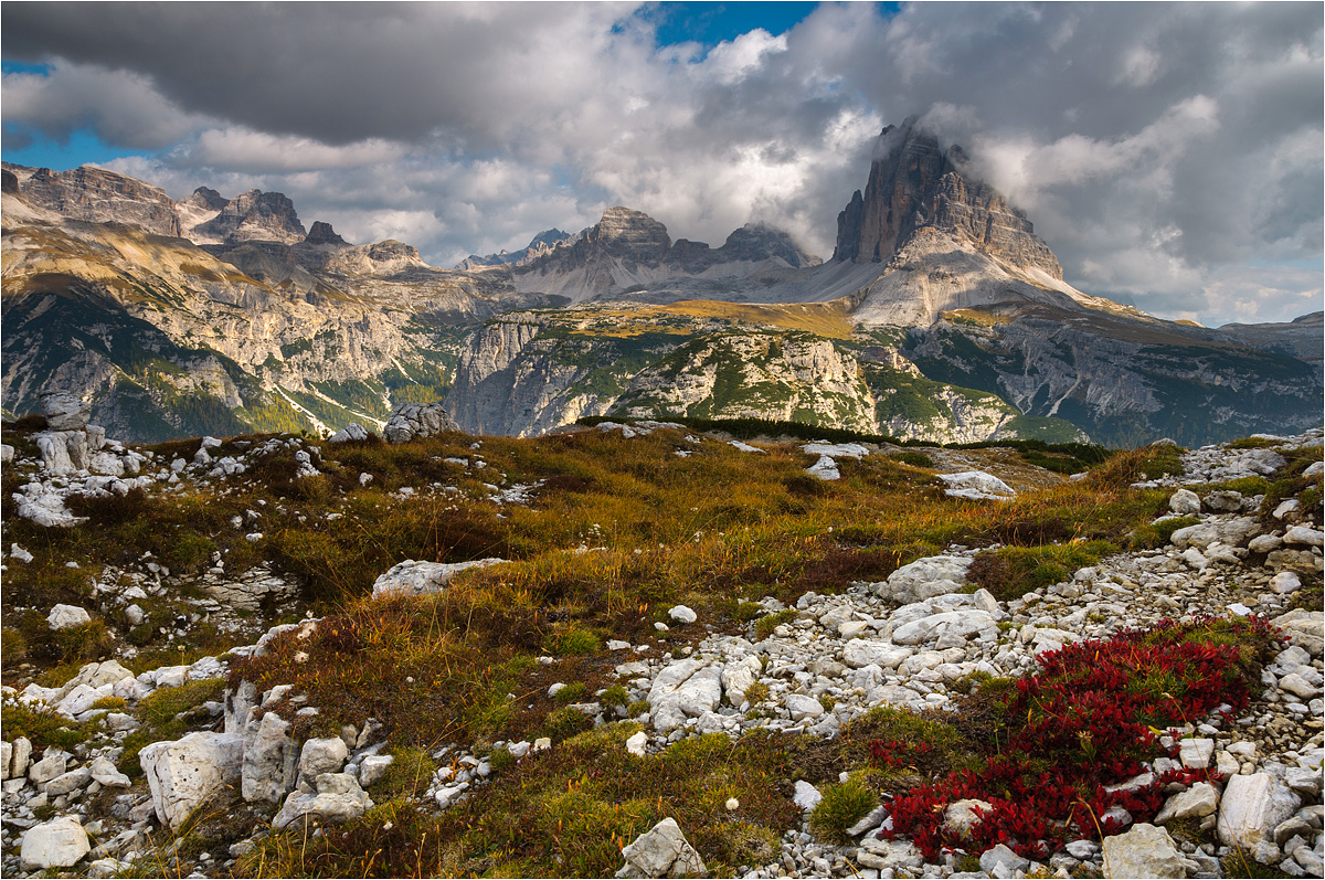°°° Zinnenblick °°°