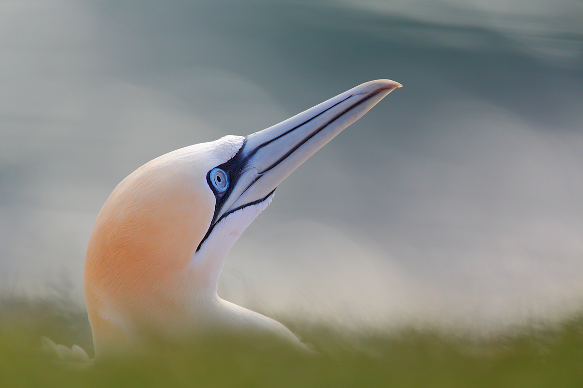 Luftraumüberwachung