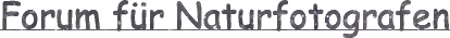 Forum für Naturfotografen - Homepage