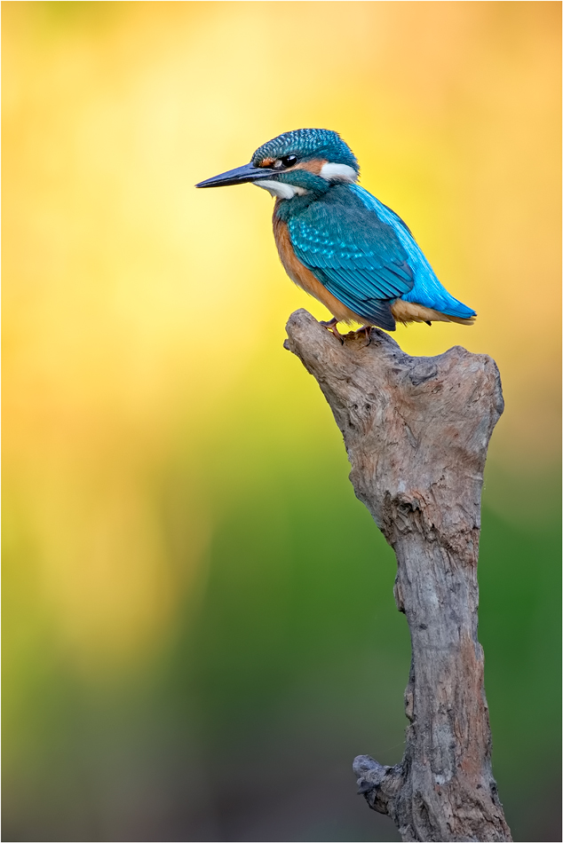 Nicht viel los im Revier