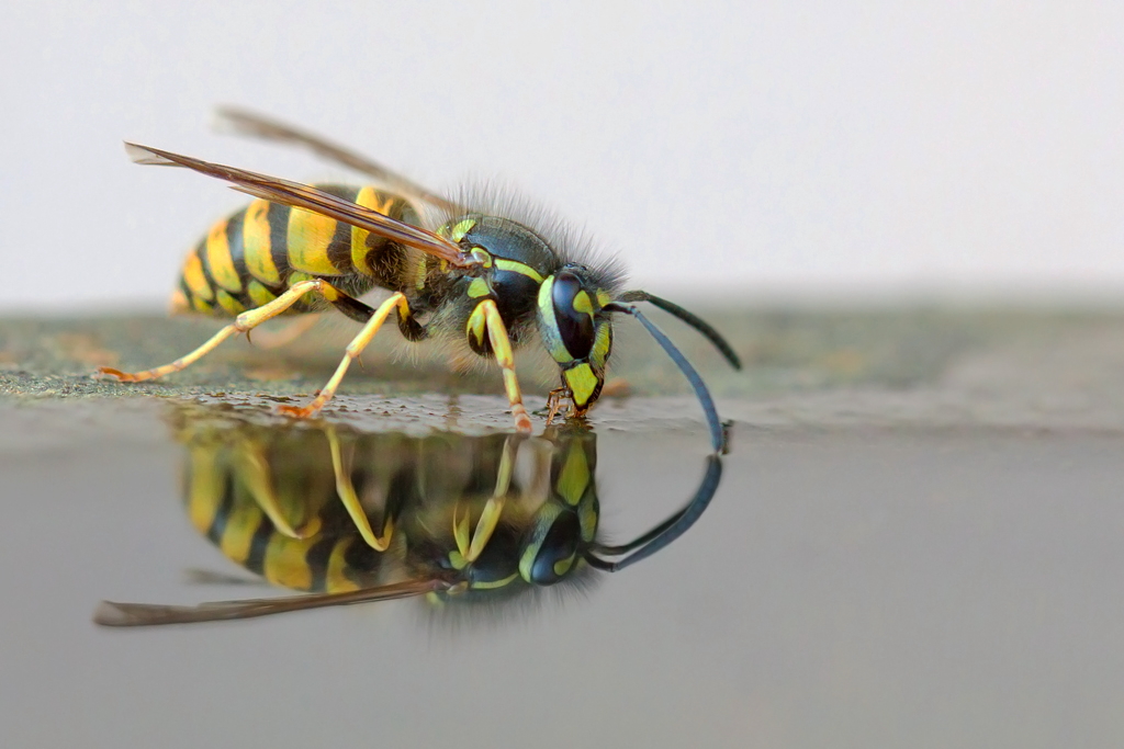 Spieglein Spieglein .....