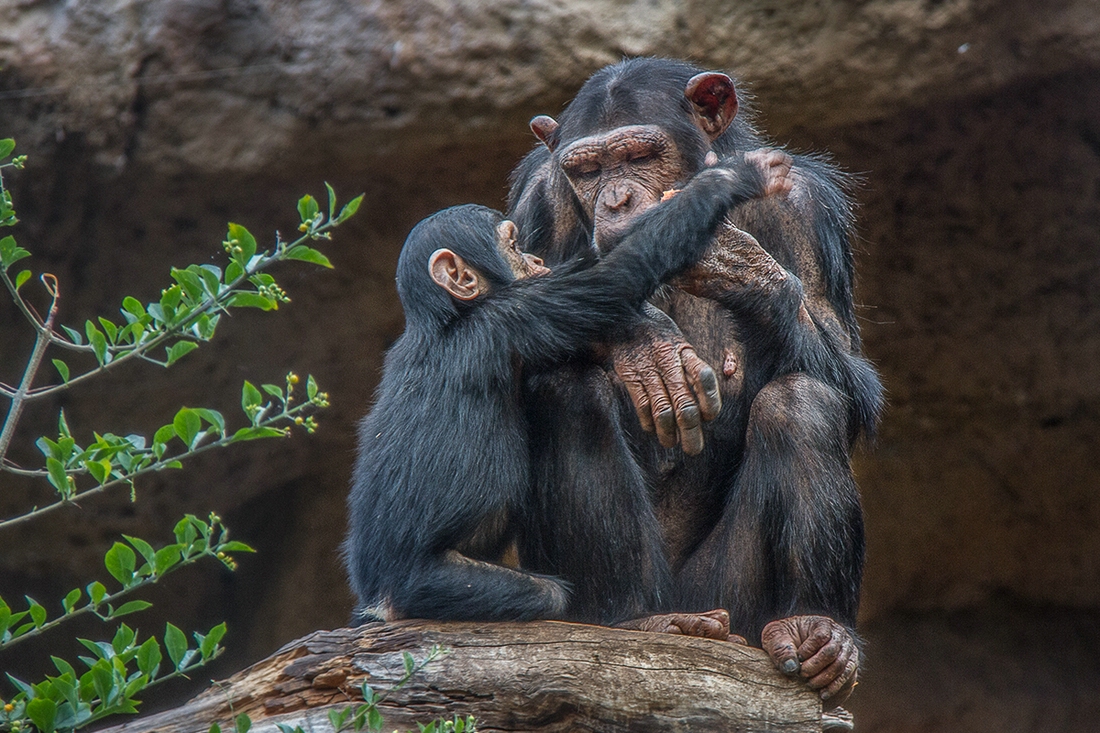 ...meine liebe Mutti...