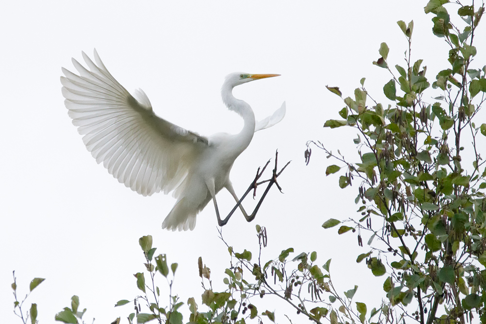 Fahrwerk ausgefahren