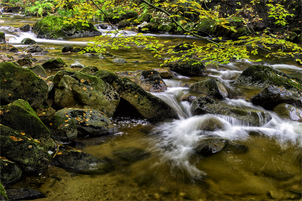 Die Ilse kann auch ...