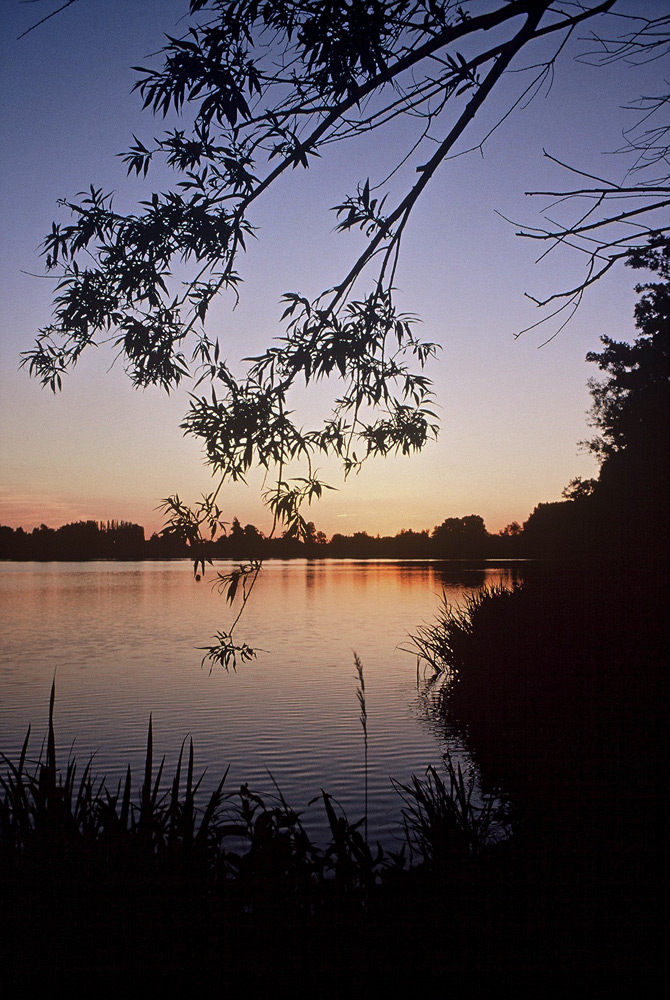 Sonnenuntergang am Nettebruchsee, Nettetal 1990