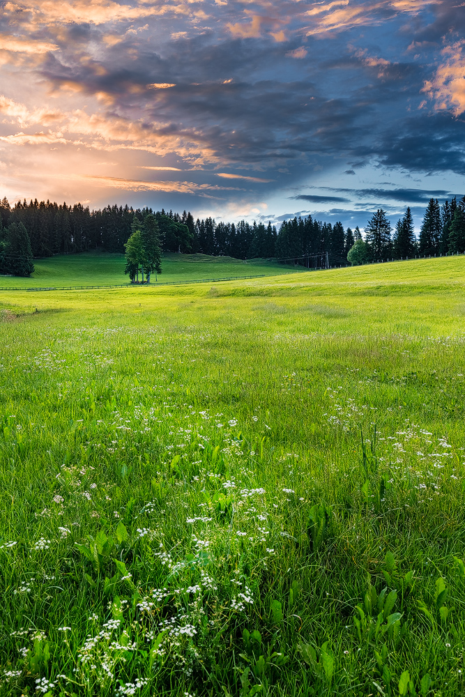 Frühsommer im Allgäu
