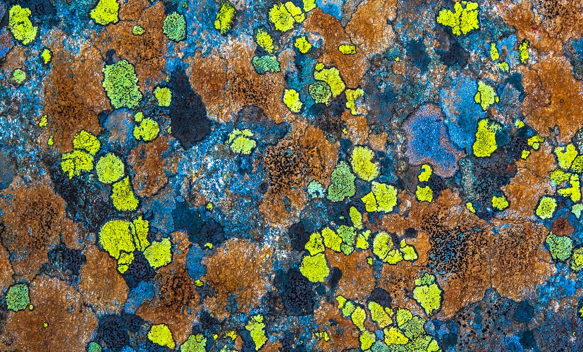 Das Warten auf den Sonnenuntergang