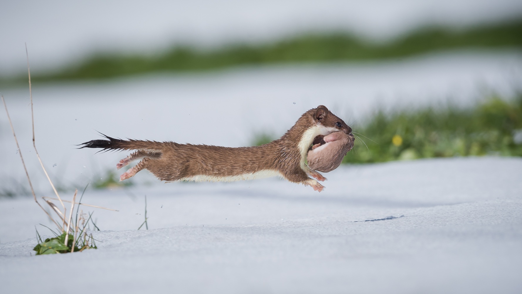 Mama lässt dich schon nicht fallen