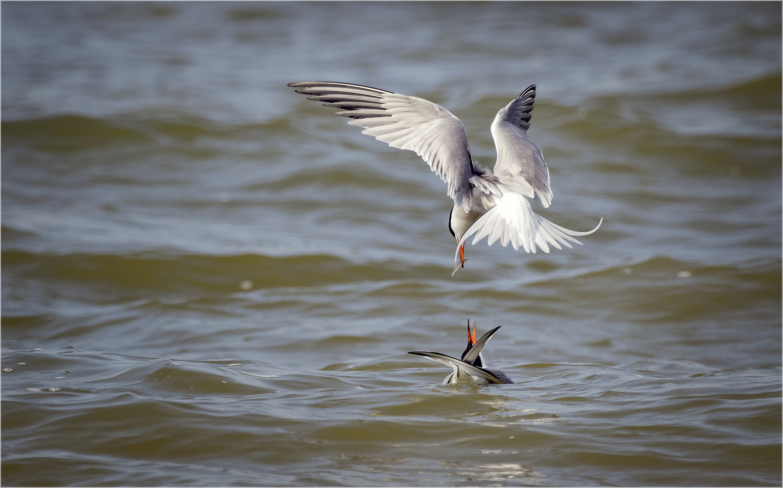 Warum einfach wenn es kompliziert geht