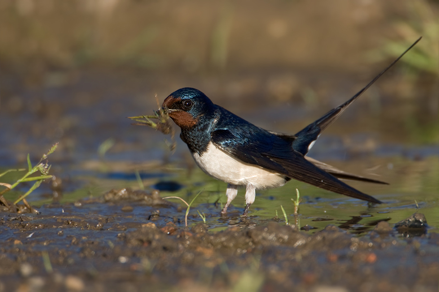 Nun beeil dich mit deinem FOTO!
