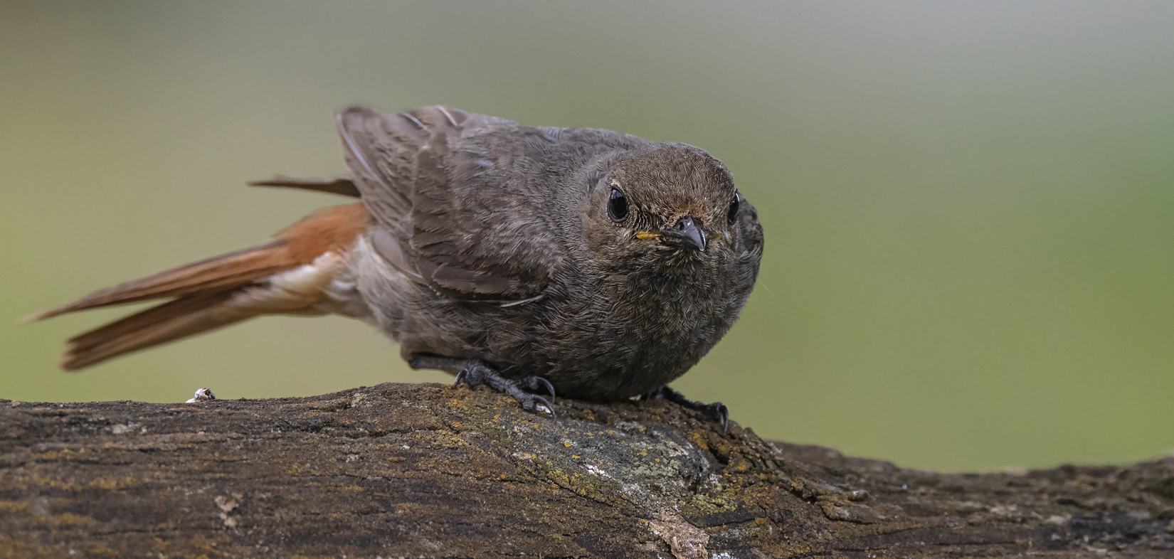Komm mir nicht zu nahe...