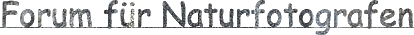 Forum für Naturfotografen - Homepage
