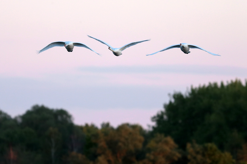 Spät abends drehten...