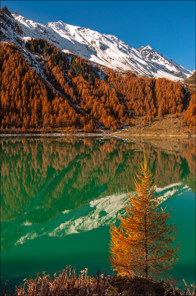 °°° Bergherbst °°°