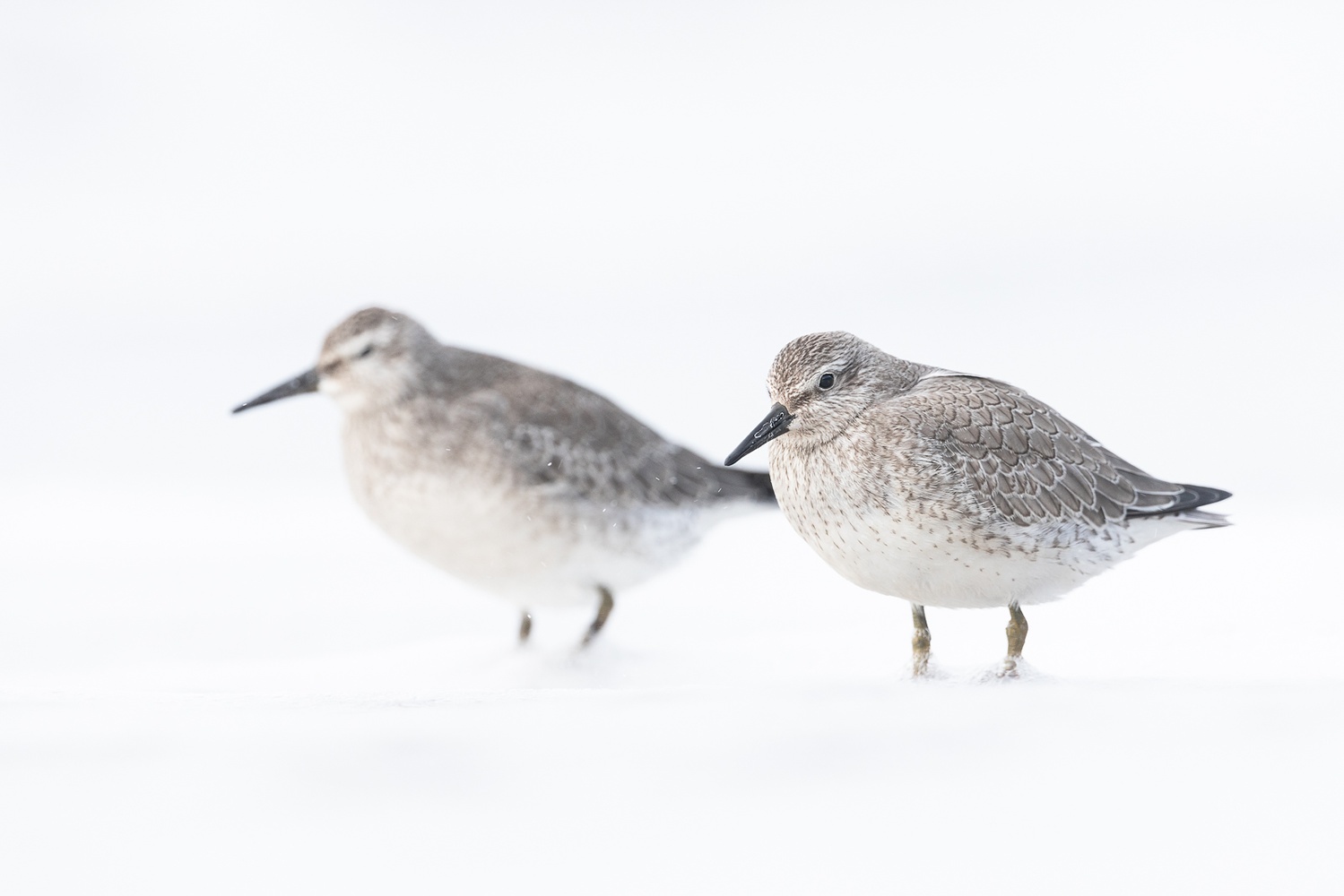 In der Brandungszone...