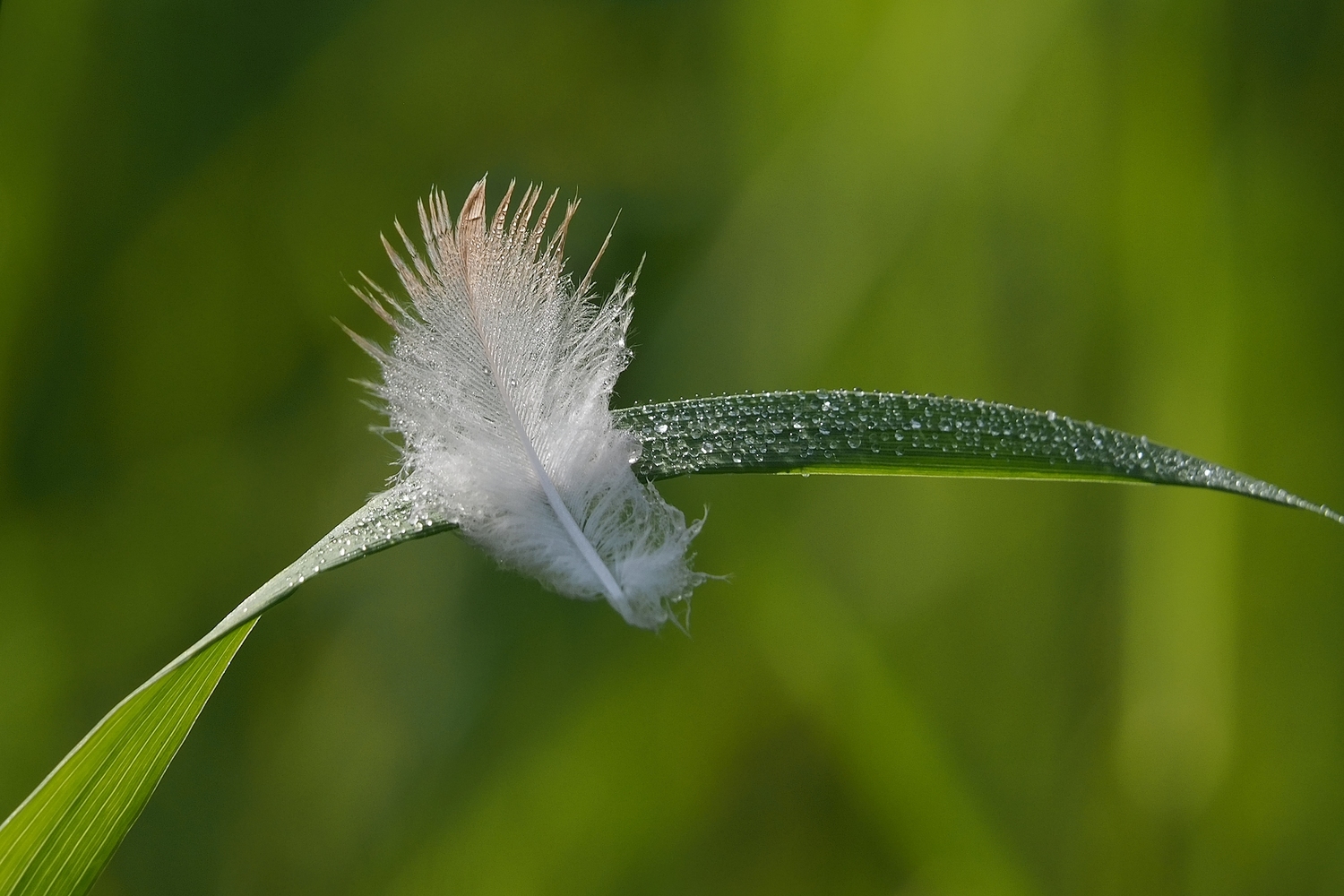 Vielleicht vom Winde verweht
