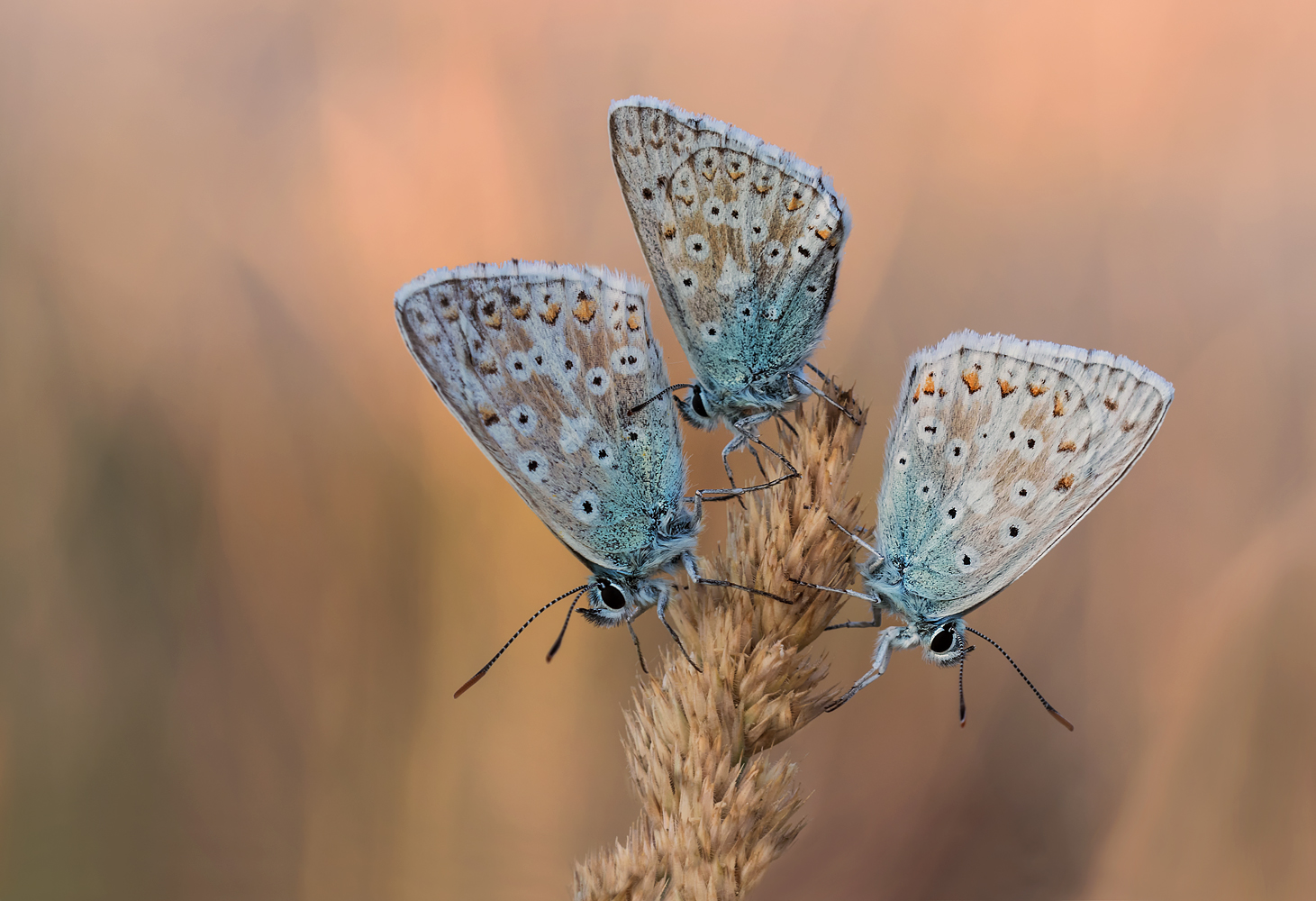 Morgens um Sieben....