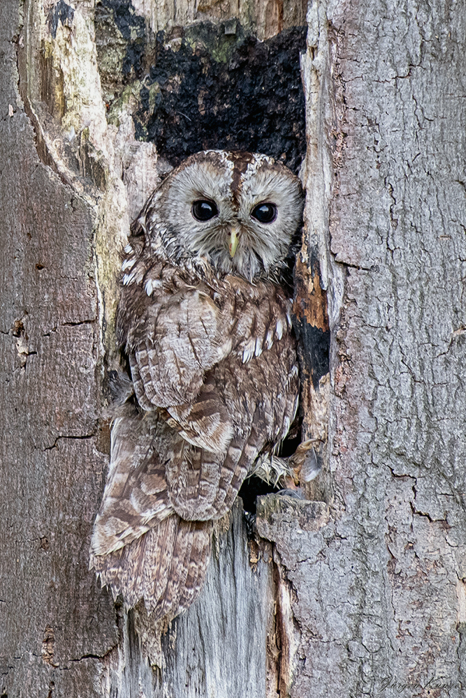 Bevor der Tag beginnt