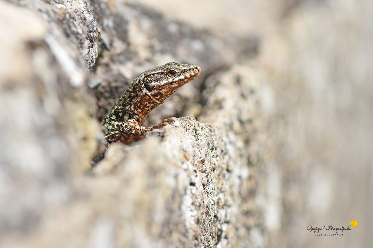Ein Zimmer mit Ausblick ...