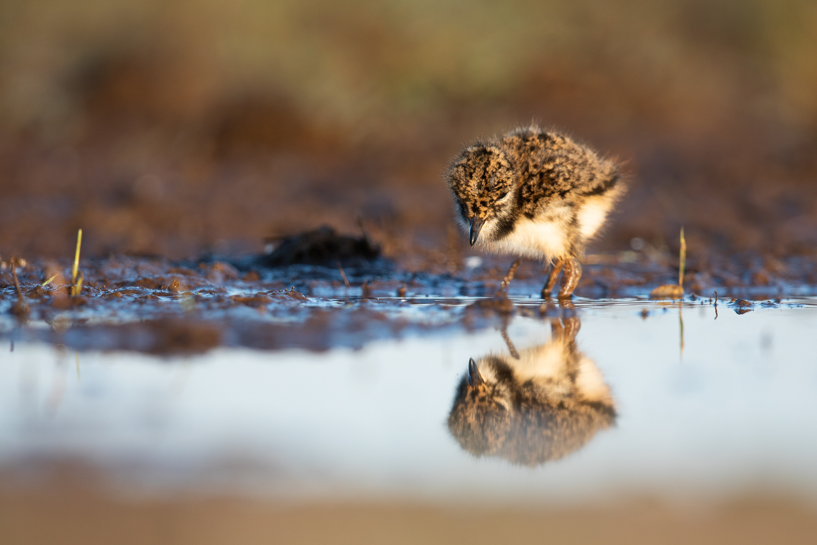 Hey... wer bist Du denn?