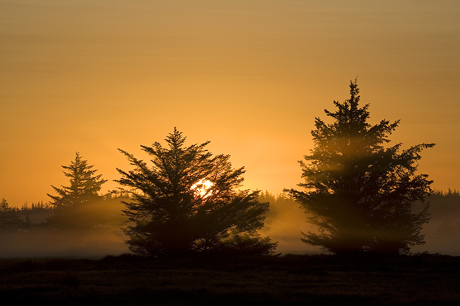 Ein fantastischer Morgen