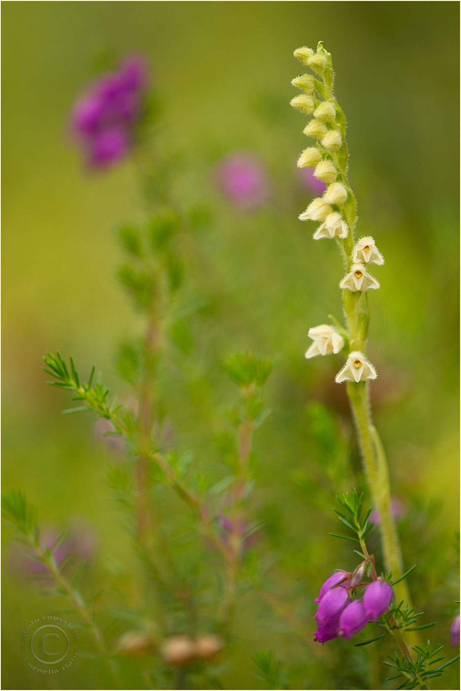 Kleider machen Leute...