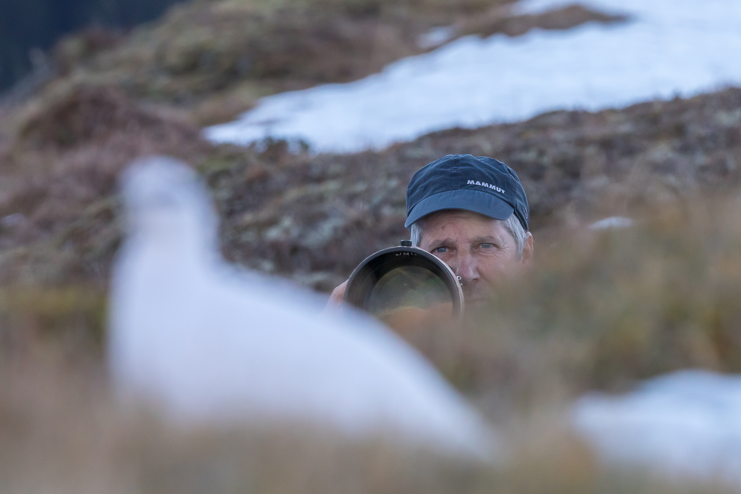 Wildtierfotografie in den Bergen
