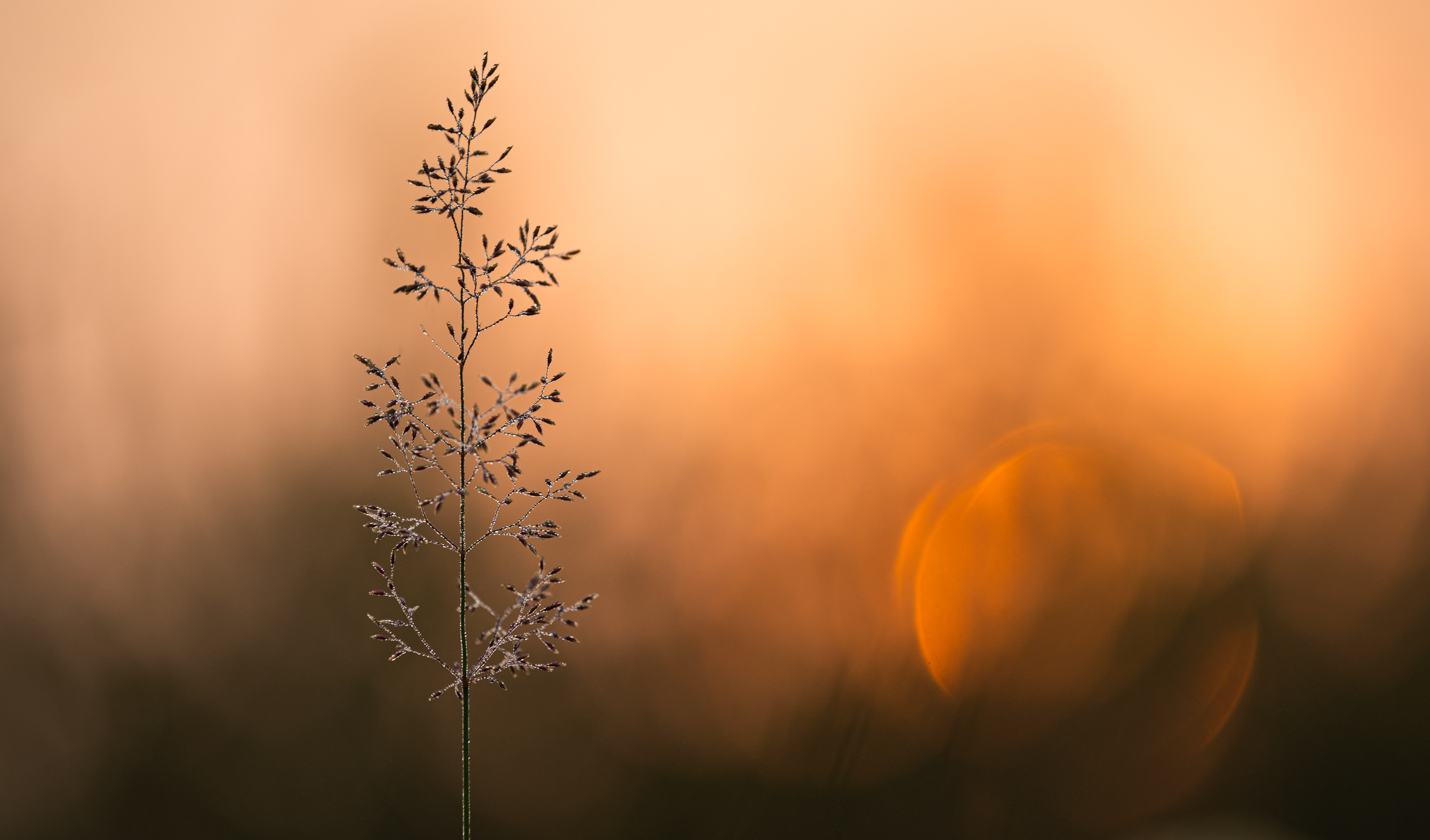 ____ein Licht für Gunnar______