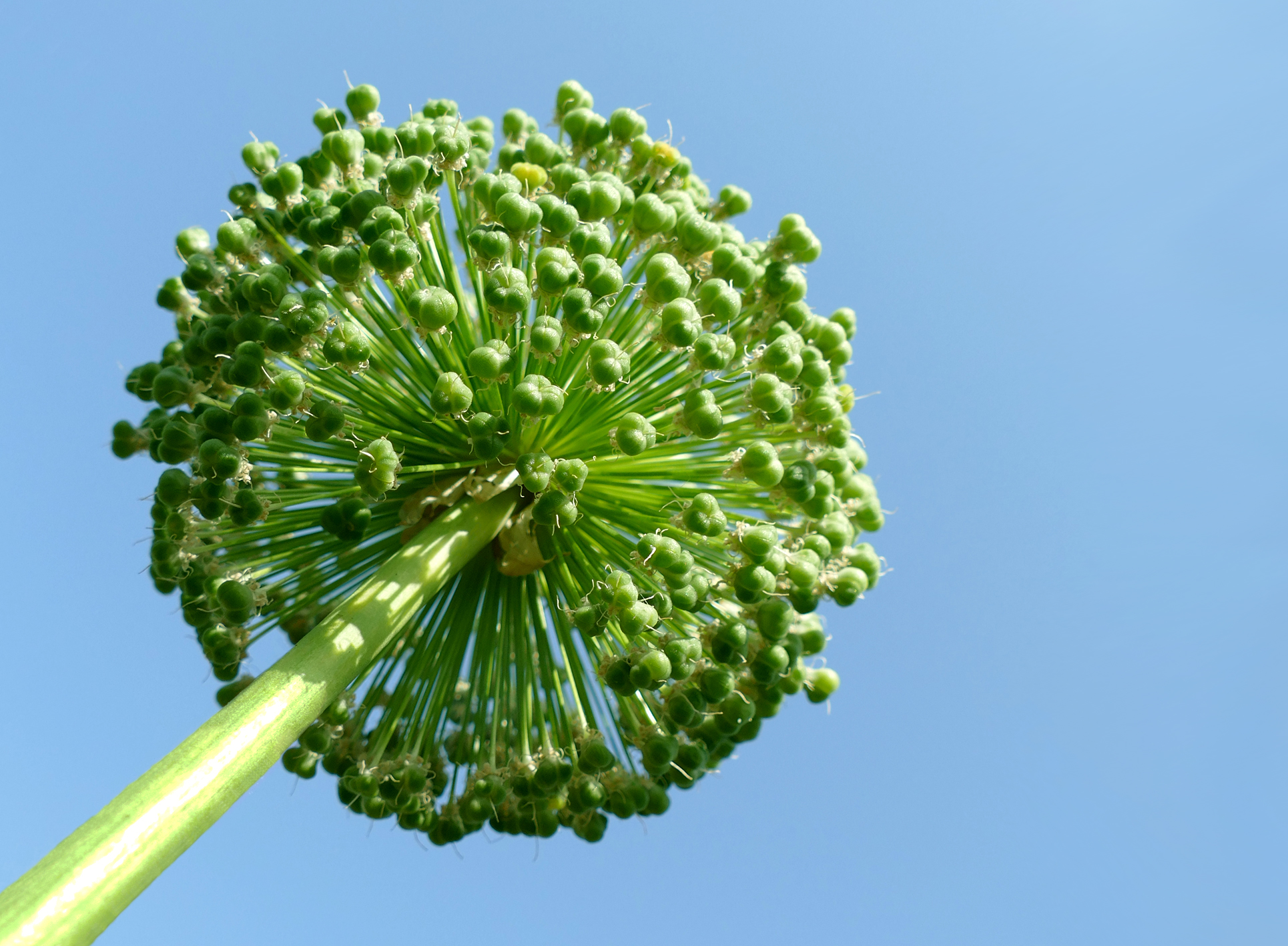 der Ball ist rund ...