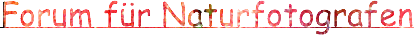 Forum für Naturfotografen - Homepage