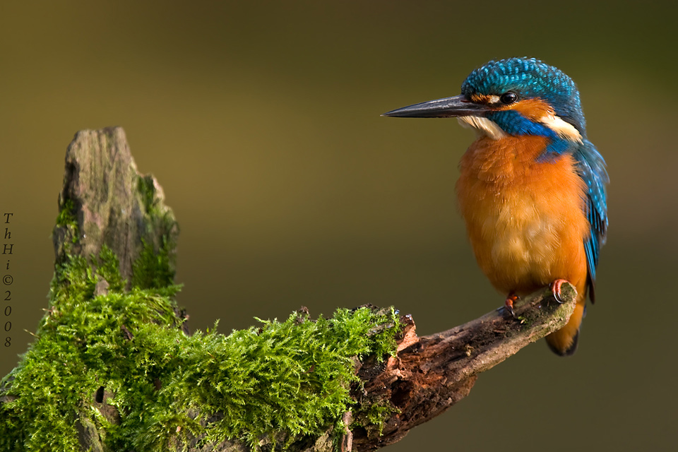 Grün, Rot und Blau...
