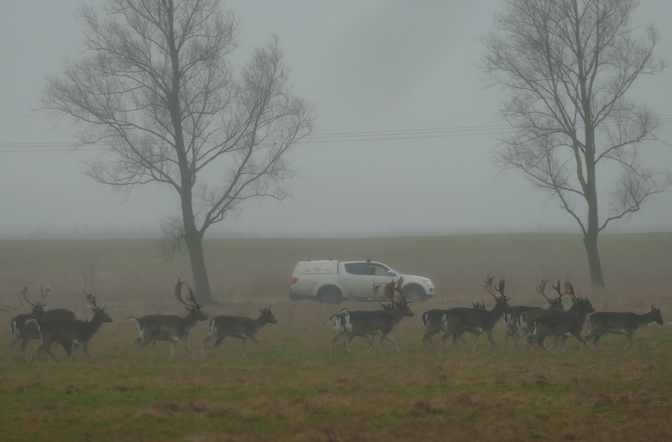Fotosechen für die Touristen