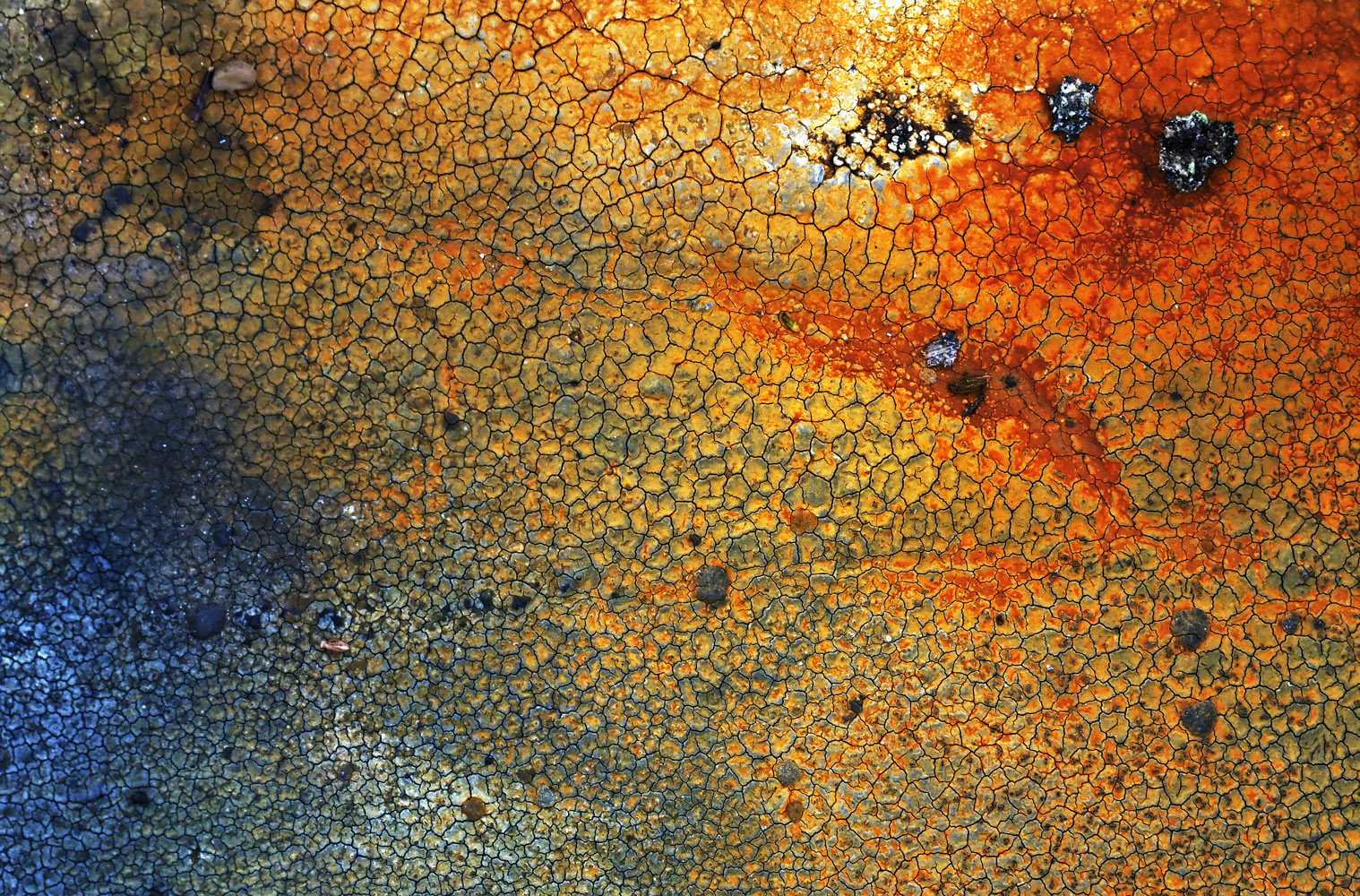 Das Kino auf dem Stein.