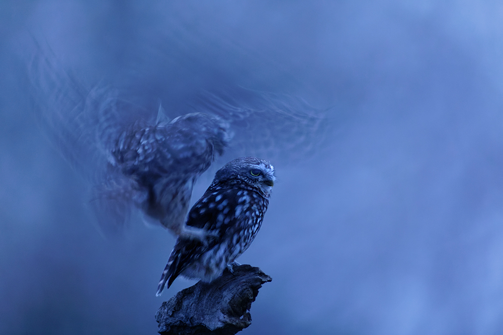 das gemütliche Beisammensein