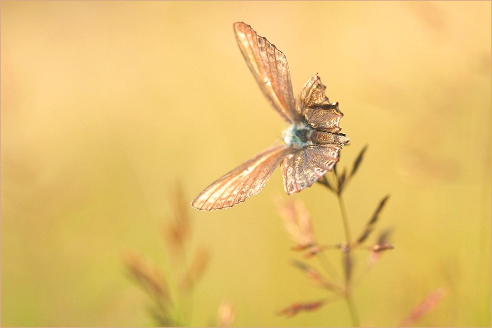 Abflug - für unbestimmte Zeit